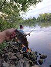 IMG_20250823_202106.jpg