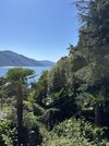 IMG_9590.jpeg