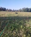 IMG_20250826_133338.jpg