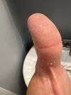 IMG_6547.jpeg