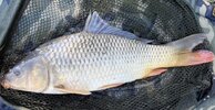 IMG_3232.jpeg