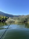 IMG_6508.jpeg