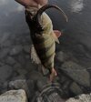 IMG_0867.jpeg