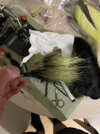 IMG_6395.jpeg