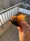 IMG_6588.jpeg
