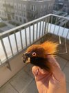 IMG_6589.jpeg