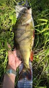 IMG_4416.jpeg