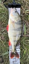 IMG_4449.jpeg