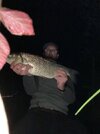 IMG_0416.jpeg