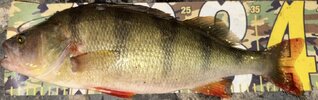 IMG_0162.jpeg