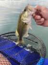 IMG_3753.jpeg