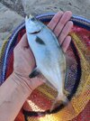 IMG_20250901_103046.jpg