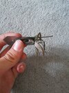 20250901_162843.jpg
