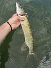 IMG_6294.jpeg