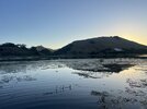 IMG_6292.jpeg