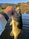 IMG_6295.jpeg