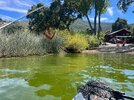 IMG_6596.jpeg