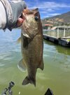 IMG_6600.jpeg