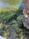 IMG_6601.jpeg