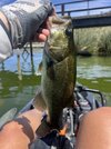 IMG_6595.jpeg
