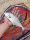 IMG_20250902_075128.jpg