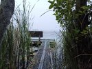 IMG_20250902_062930_420.jpg