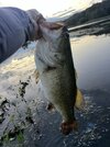 IMG_6624.jpeg