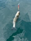 IMG_6355.jpeg