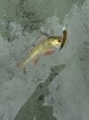 IMG_6336.jpeg