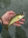 IMG_6338.jpeg