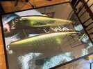 IMG_3640.jpeg