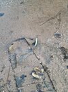 20250308_073239.jpg