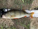 IMG_0631.jpeg