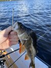 IMG_2010.jpeg