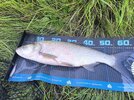 IMG_20250903_193819.jpg