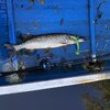 IMG_1298.jpeg