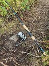 IMG_2024.jpeg