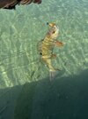 IMG_6398.jpeg