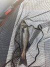IMG_0606.jpeg