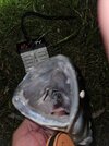 20250904_203510.jpg