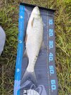 IMG_20250907_074606.jpg