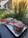 IMG_9949.jpeg