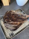 IMG_9951.jpeg