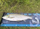 IMG_20250909_092235.jpg
