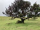 IMG_8201.jpeg