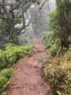 IMG_8156.jpeg