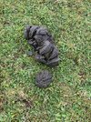 IMG_8149.jpeg
