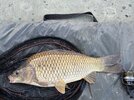 IMG_5755.jpeg