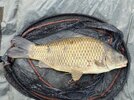 IMG_5760.jpeg