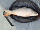 IMG_5765.jpeg